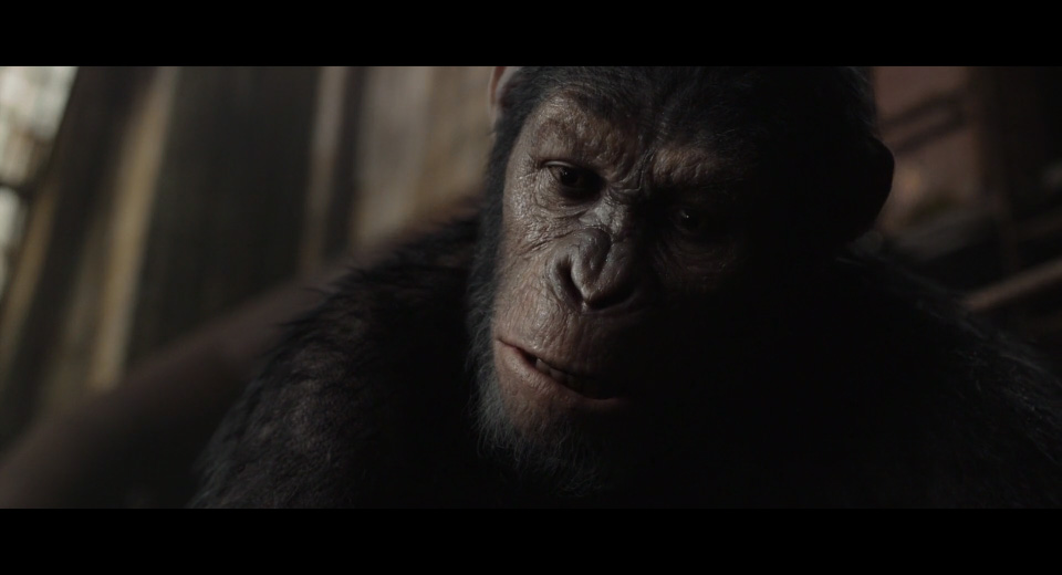 Caesar beats Koba down